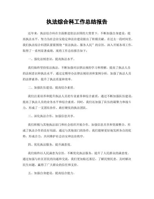 执法综合科工作总结报告