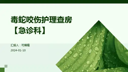 毒蛇咬伤护理查房【急诊科】  ppt课件