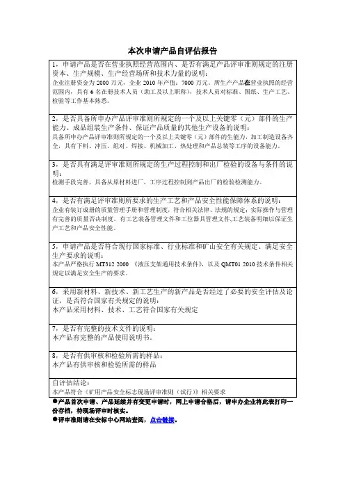 自评估报告
