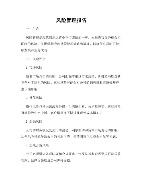 风险管理报告
