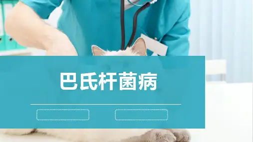 犬猫的传染病(巴氏杆菌病)-宠物医生课件