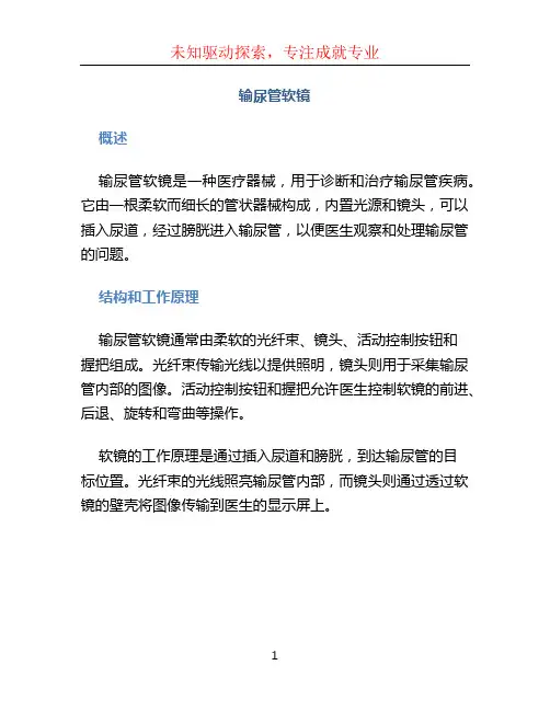 输尿管软镜 (2)