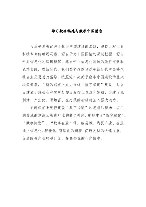 学习数字福建与数字中国感言
