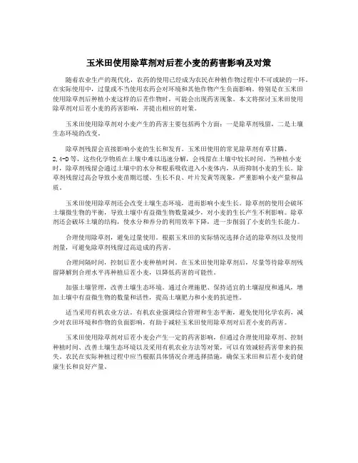 玉米田使用除草剂对后茬小麦的药害影响及对策