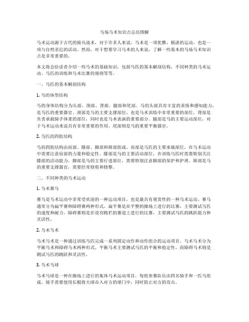 马场马术知识点总结图解