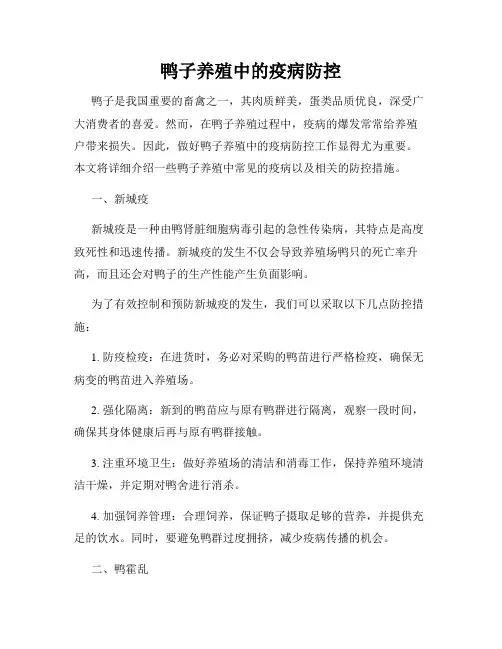 鸭子养殖中的疫病防控