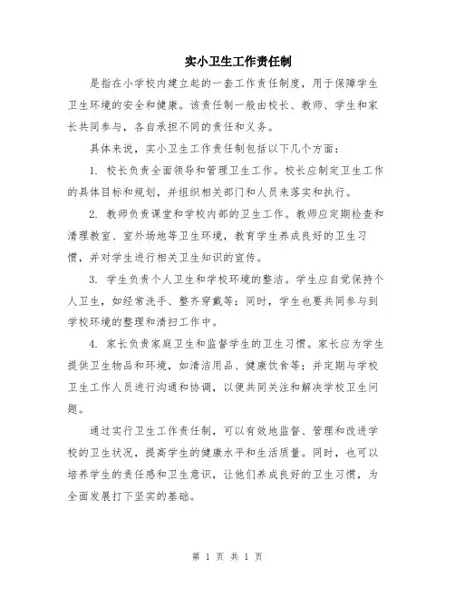 实小卫生工作责任制