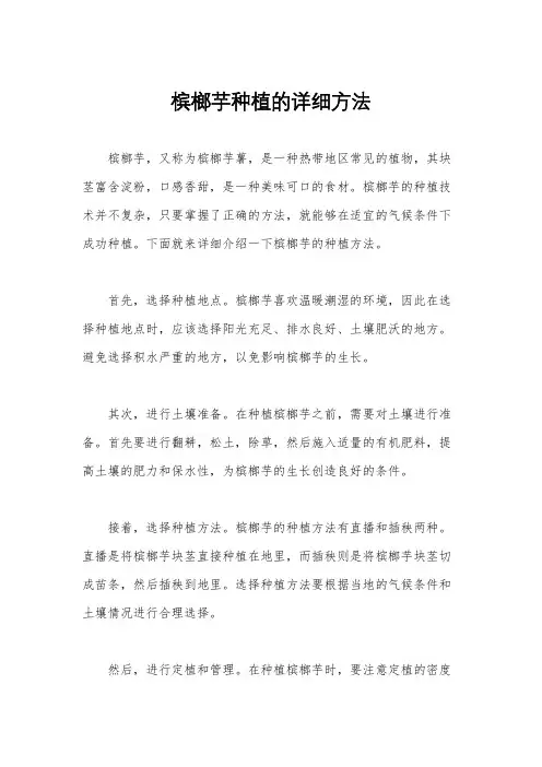 槟榔芋种植的详细方法