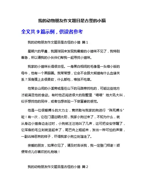 我的动物朋友作文题目是古怪的小猫