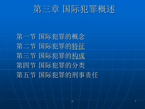 《国际犯罪概述》PPT课件
