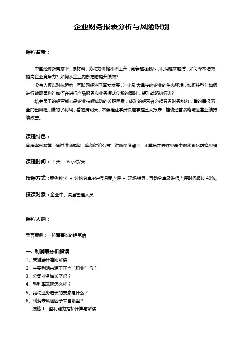 《企业财务报表分析与风险识别》