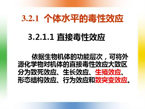 环境毒理学8PPT幻灯片