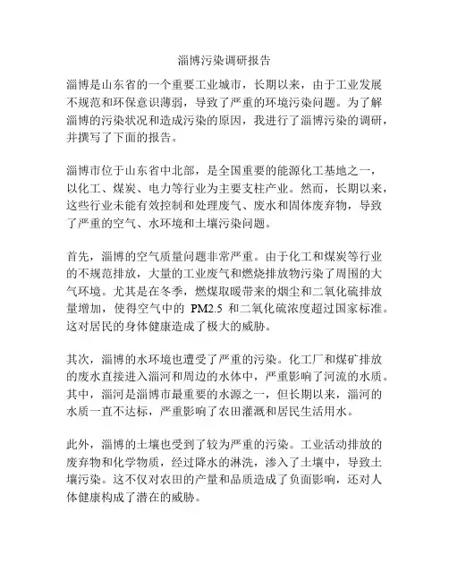 淄博污染调研报告