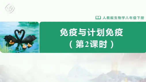 八年级-人教版-生物-下册-第二节 免疫与计划免疫(第2课时)
