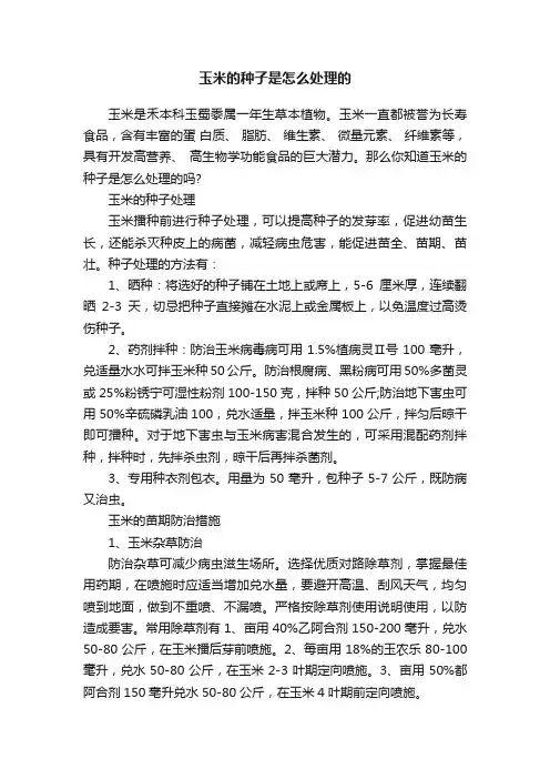 玉米的种子是怎么处理的