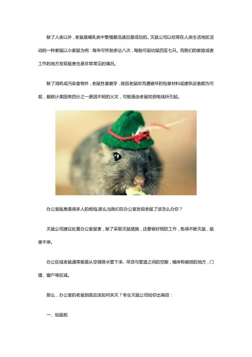 灭鼠公司告诉您办公室发现老鼠怎么办？