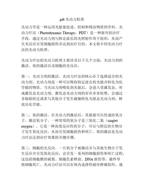 pdt光动力机理