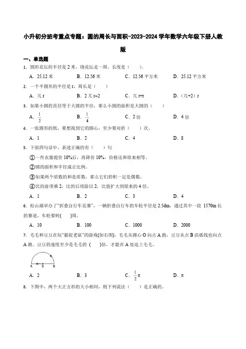 小升初分班考重点专题：圆的周长与面积(专项训练)-2023-2024学年数学六年级下册人教版