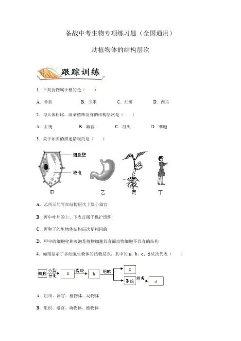 备战中考生物专项练习题——动植物体的结构层次(全国通用,含答案) 