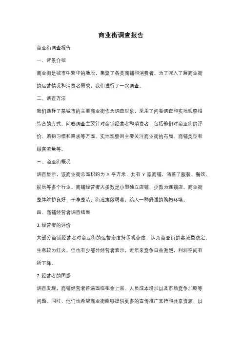 商业街调查报告