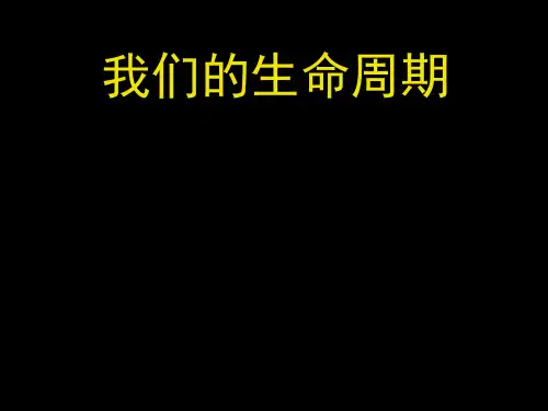 我们的生命周期