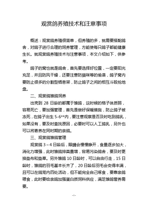 观赏鸽养殖技术和注意事项