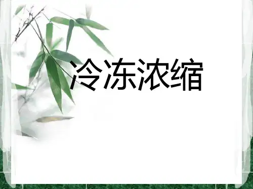 冷冻浓缩