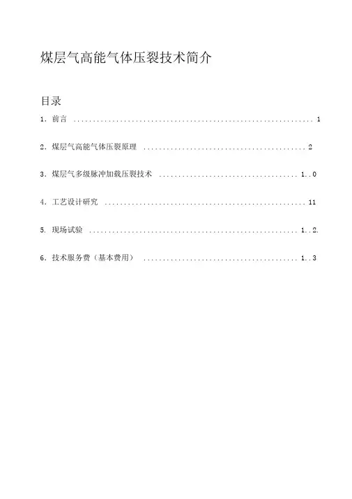 煤层气高能气体压裂技术简介
