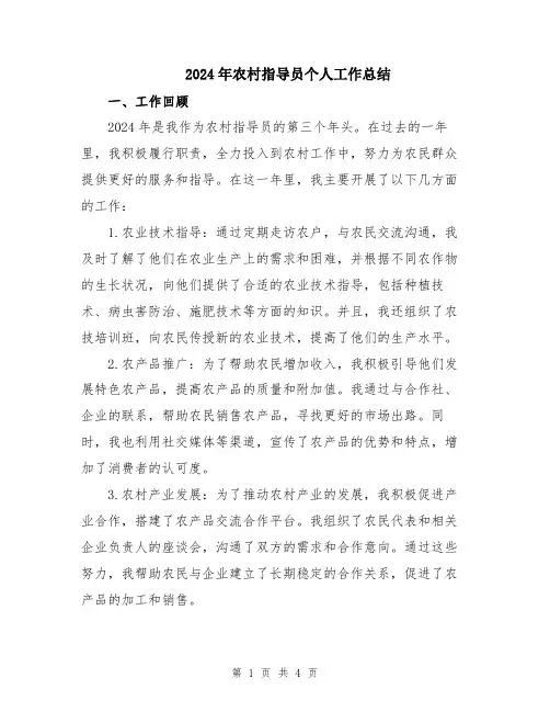 2024年农村指导员个人工作总结