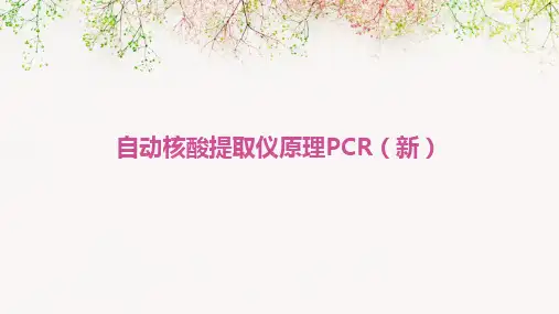 自动核酸提取仪原理PCR(新)