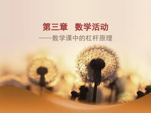 人教版初中数学七年级上册《第三章数学活动—数学课中的杠杆原理》