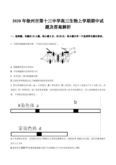 2020年徐州市第十三中学高三生物上学期期中试题及答案解析