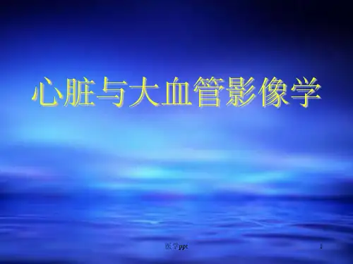 心脏与大血管影像学