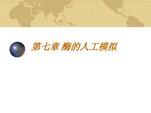 第七章酶的模拟