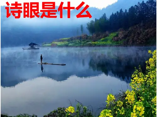 高考语文复习诗歌鉴赏专题  诗眼