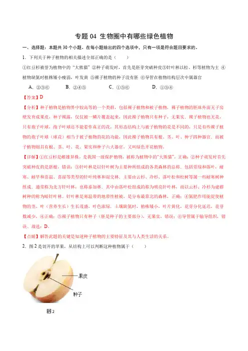专题04 生物圈中有哪些绿色植物(解析版)