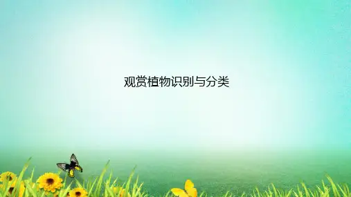 景观园艺植物的识别与分类(景观园艺)
