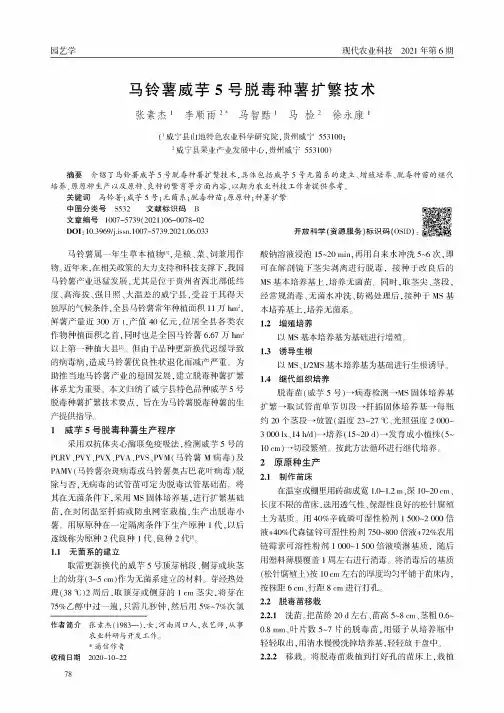 马铃薯威芋5号脱毒种薯扩繁技术