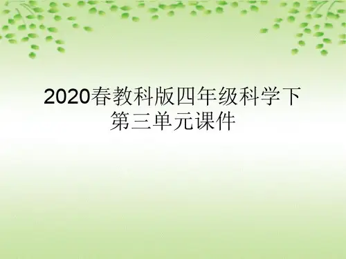 2020春教科版四年级科学下第三单元课件