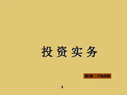 第3章 产权投资