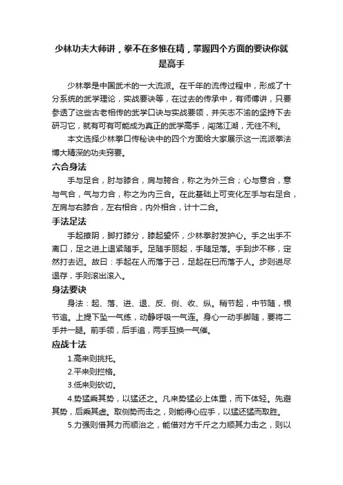 少林功夫大师讲，拳不在多惟在精，掌握四个方面的要诀你就是高手