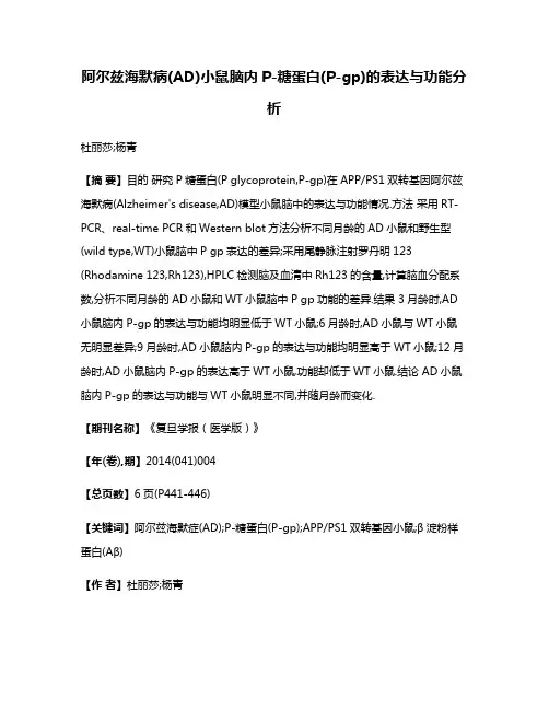 阿尔兹海默病(AD)小鼠脑内P-糖蛋白(P-gp)的表达与功能分析