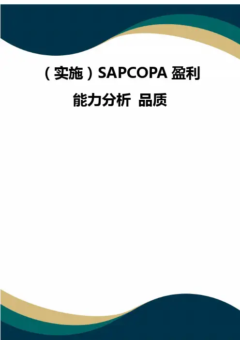 (实施)SAPCOPA盈利能力分析 品质