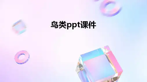 鸟类ppt课件