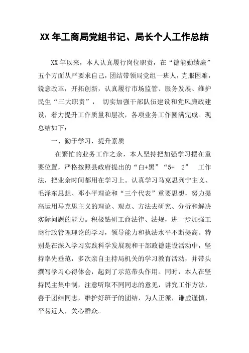 XX年工商局党组书记、局长个人工作总结