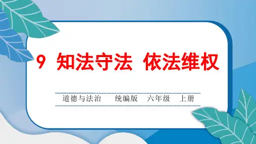 统编版小学六年级道德与法治上册9 知法守法 依法维权课堂综合练习题附答案