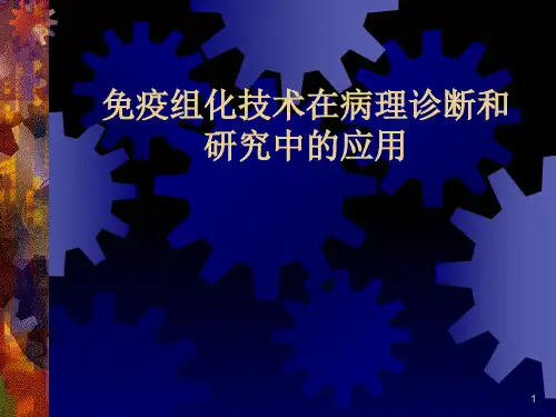 免疫组化技术在病理诊断和研究中的应用PPT课件
