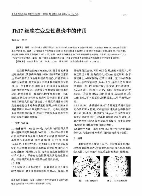 Th17细胞在变应性鼻炎中的作用