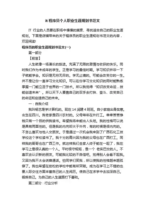 it程序员个人职业生涯规划书范文