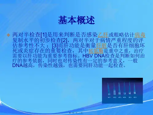 乙肝五项课件详解